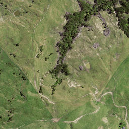 Satellite imagery of TE PUIA, NZ