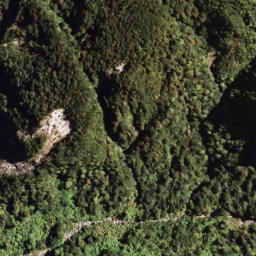 Satellite imagery of MANGAOTANE, NZ