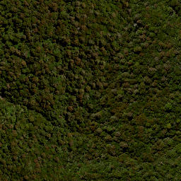 Satellite imagery of XXII TERITUA, NZ