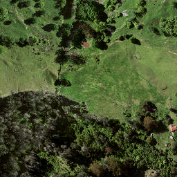 Satellite imagery of Puketiti, NZ