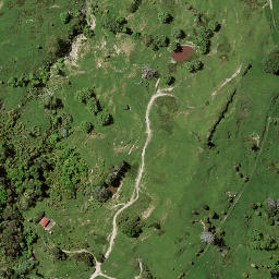 Satellite imagery of Puketiti, NZ