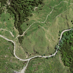 Satellite imagery of TE PUIA, NZ