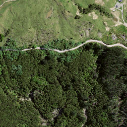 Satellite imagery of TE PUIA, NZ