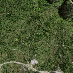Satellite imagery of P15 REHUROA, NZ