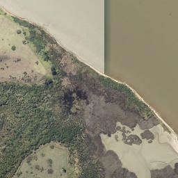 Satellite imagery of Mahoe Point, NZ