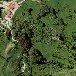 Satellite imagery of Puketiti, NZ