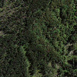 Satellite imagery of P15 REHUROA, NZ
