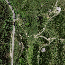 Satellite imagery of P15 REHUROA, NZ