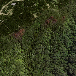 Satellite imagery of 184 TAWHITI, NZ