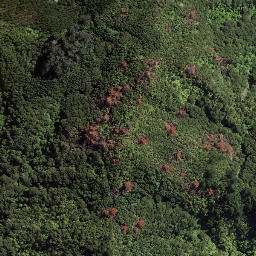 Satellite imagery of 184 TAWHITI, NZ