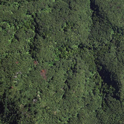 Satellite imagery of 184 TAWHITI, NZ