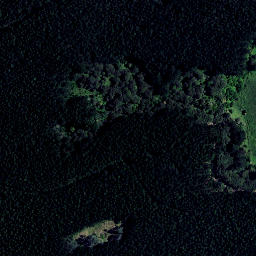 Satellite imagery of Matatua Point, NZ