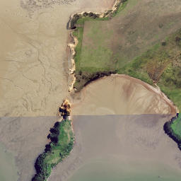 Satellite imagery of Kaiwaka Point, NZ