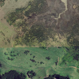 Satellite imagery of Mahoe Point, NZ