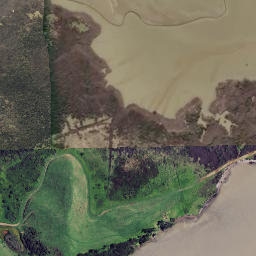 Satellite imagery of Kotongareia Point, NZ