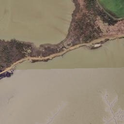 Satellite imagery of Kotongareia Point, NZ