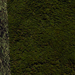 Satellite imagery of XXII TERITUA, NZ