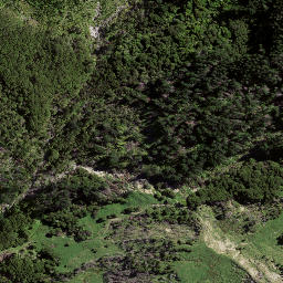 Satellite imagery of P15 REHUROA, NZ