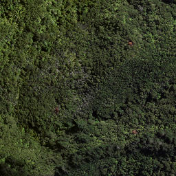 Satellite imagery of 184 TAWHITI, NZ