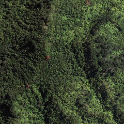 Satellite imagery of 184 TAWHITI, NZ