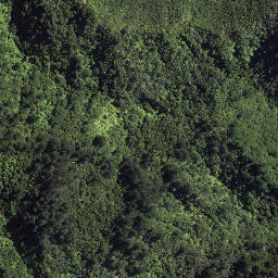 Satellite imagery of 184 TAWHITI, NZ
