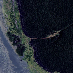 Satellite imagery of Tauratahi Point, NZ