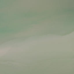 Satellite imagery of Kaiwaka Point, NZ