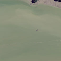 Satellite imagery of Mahoe Point, NZ