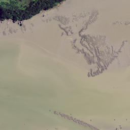 Satellite imagery of Kotongareia Point, NZ
