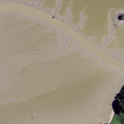 Satellite imagery of Kotongareia Point, NZ