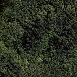 Satellite imagery of 184 TAWHITI, NZ