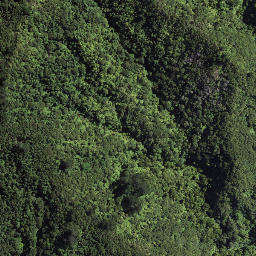 Satellite imagery of 184 TAWHITI, NZ