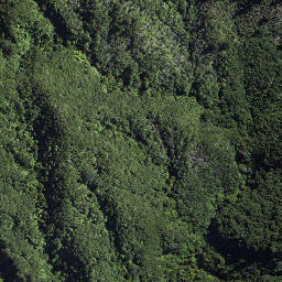 Satellite imagery of 184 TAWHITI, NZ