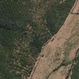 Satellite imagery of Cerro Catrileo, CL