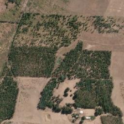 Satellite imagery of Cerro Catrileo, CL