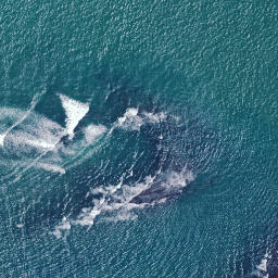 Satellite imagery of Urawhitiki Point, NZ
