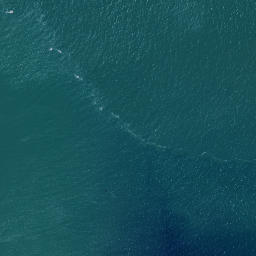 Satellite imagery of Tauratahi Point, NZ