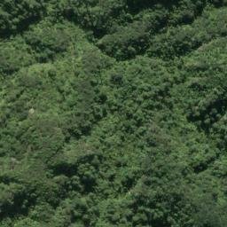 Satellite imagery of 7331, NZ