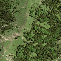 Satellite imagery of 181 WHAREKIRI, NZ