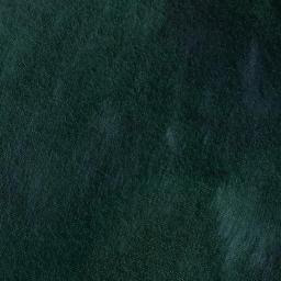 Satellite imagery of Bird Rock, AU