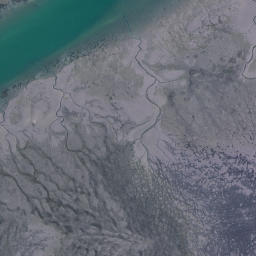 Satellite imagery of Okura Point, NZ