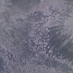 Satellite imagery of Manaua Point, NZ