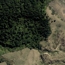 Satellite imagery of 7411, NZ