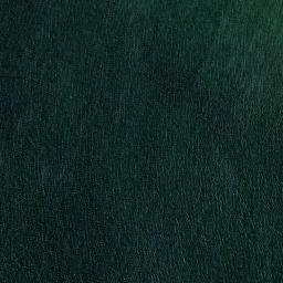 Satellite imagery of Bird Rock, AU