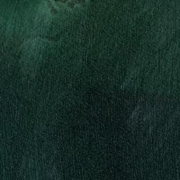 Satellite imagery of Bird Rock, AU