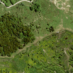 Satellite imagery of 182 PIRAUAU, NZ