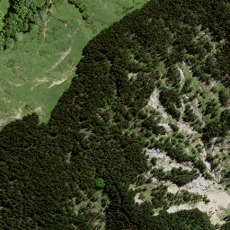 Satellite imagery of 181 WHAREKIRI, NZ