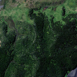 Satellite imagery of Ururoa Point, NZ