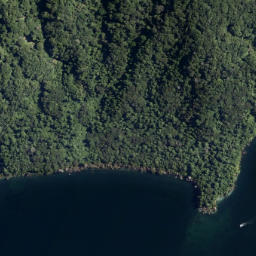 Satellite imagery of Te Koutu Pa, NZ