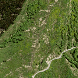Satellite imagery of 182 PIRAUAU, NZ
